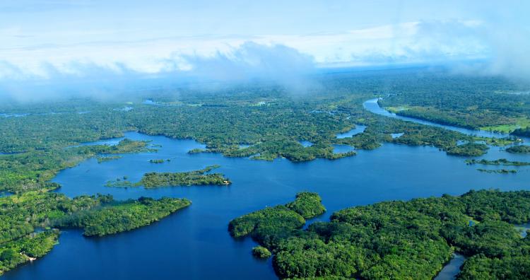 Espectro Livre, Transparência e Vigilância: por uma apropriação dos meios digitais na Amazônia